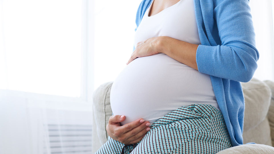 Gravid 1